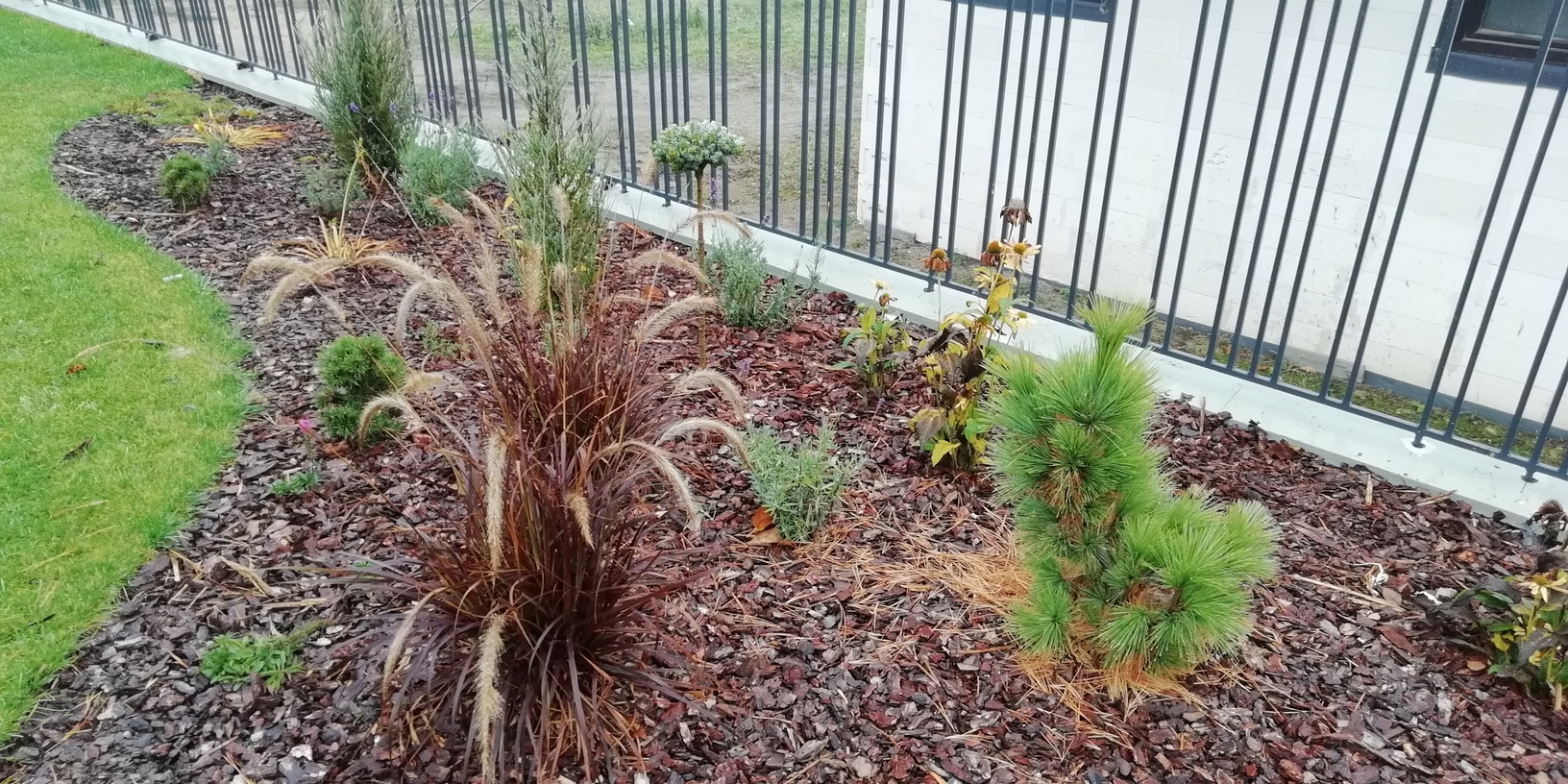 Apželdinimo Projektas