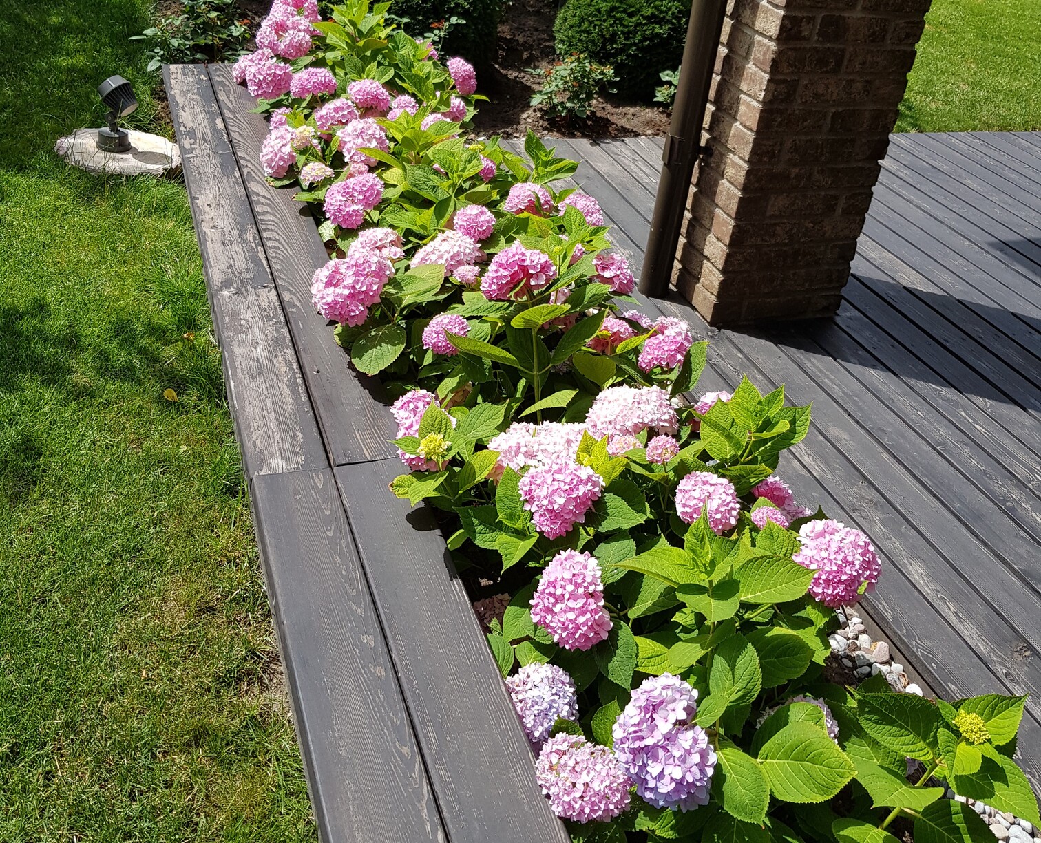 Apželdinimo Projektas