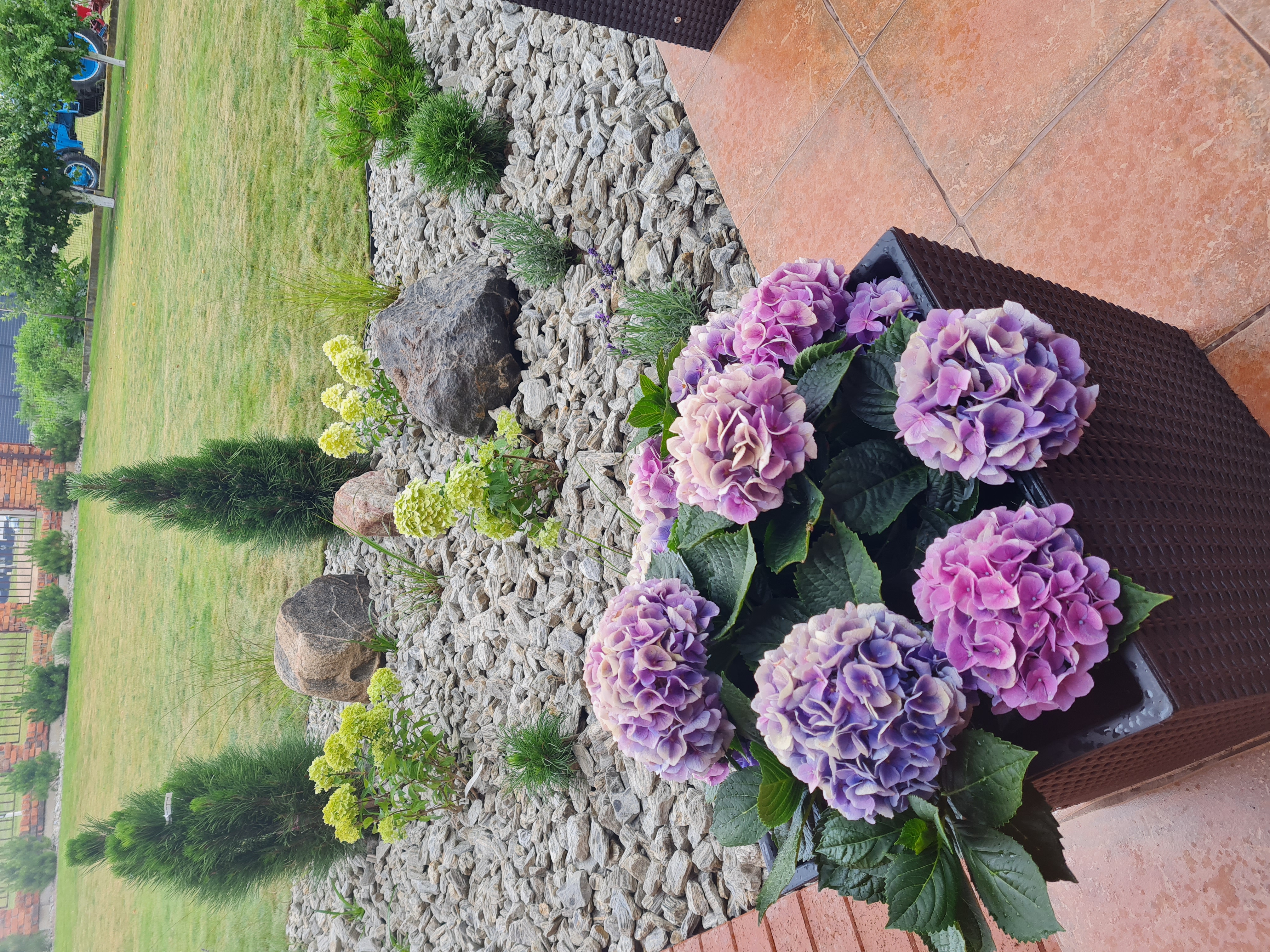 Apželdinimo Projektas