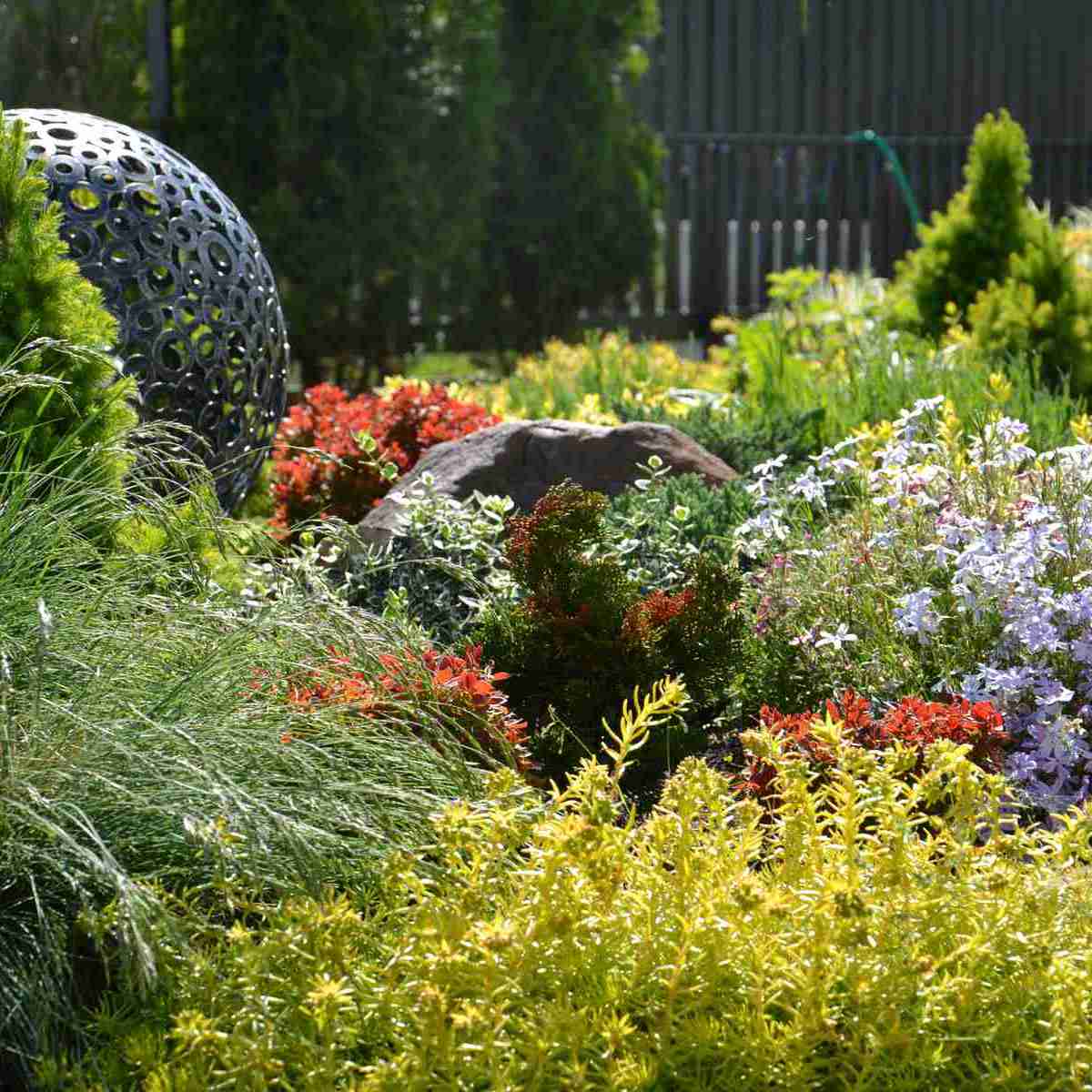 Apželdinimo Projektas