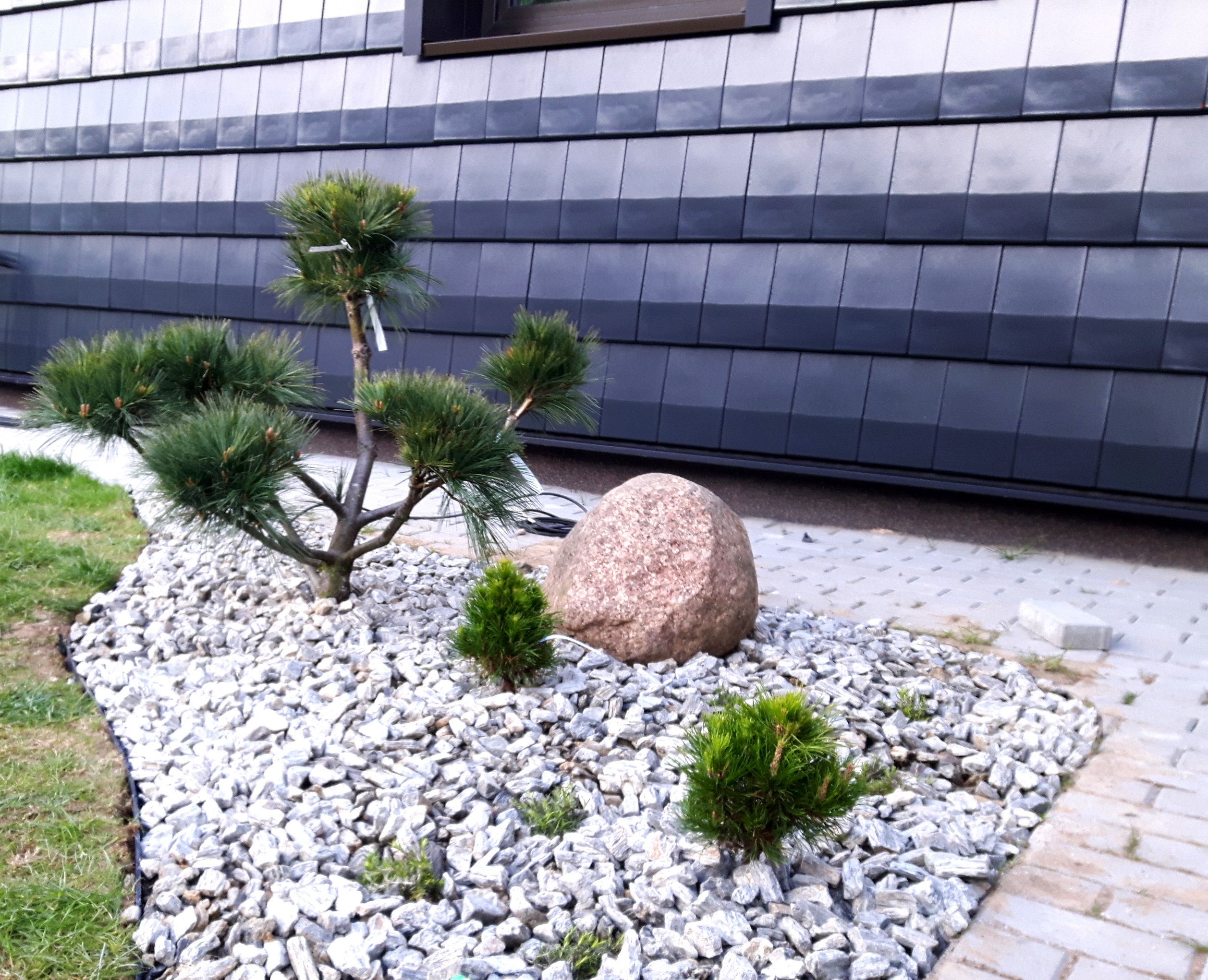 Apželdinimo Projektas