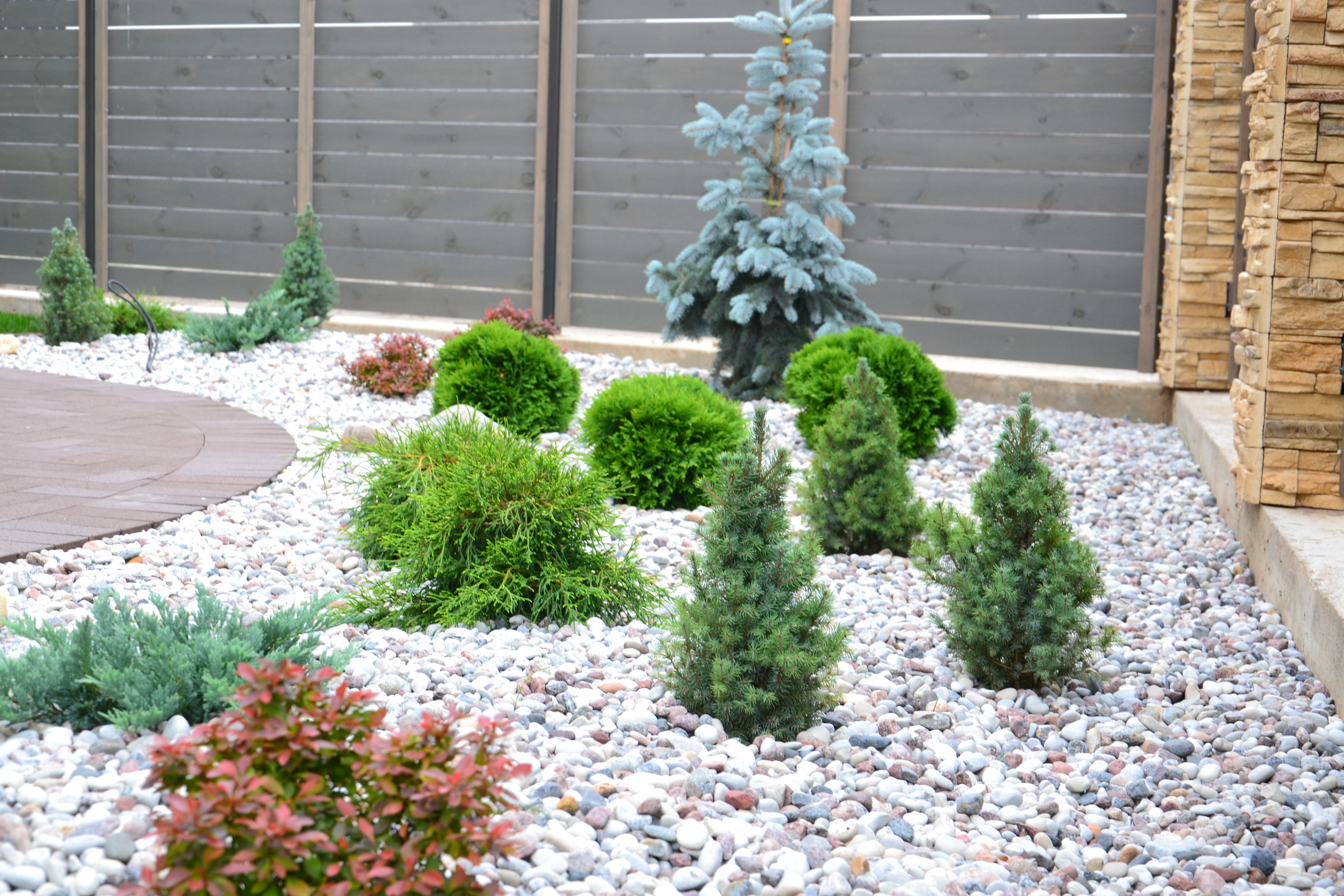 Apželdinimo Projektas