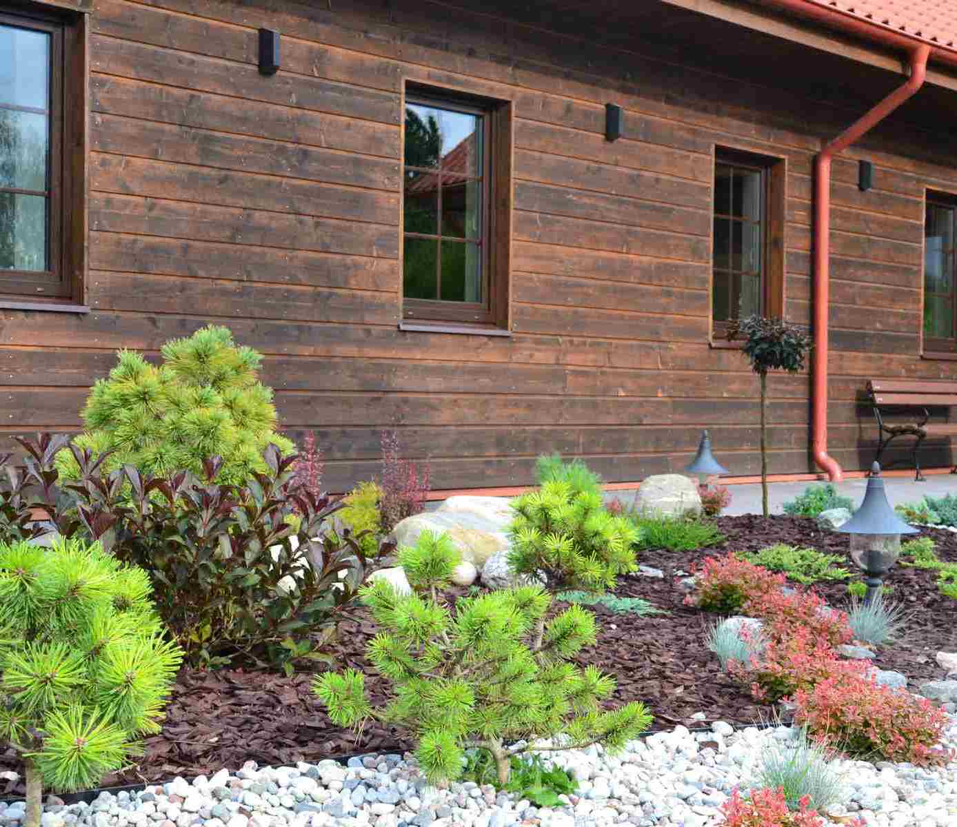 Apželdinimo Projektas